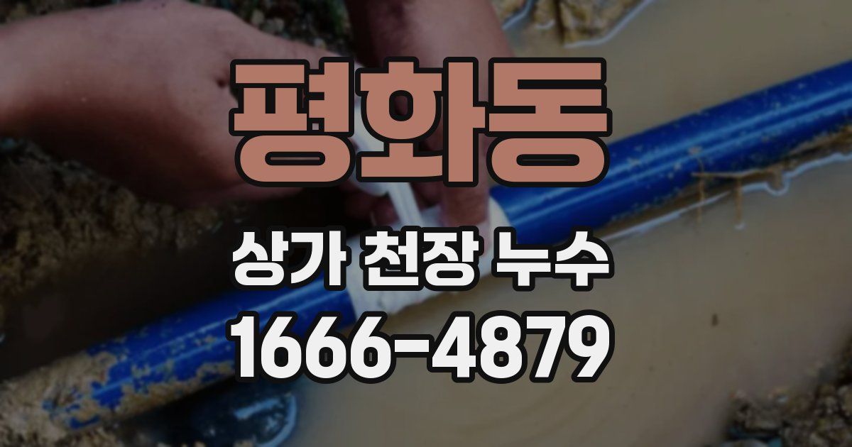 평화동 상가 천장 누수
