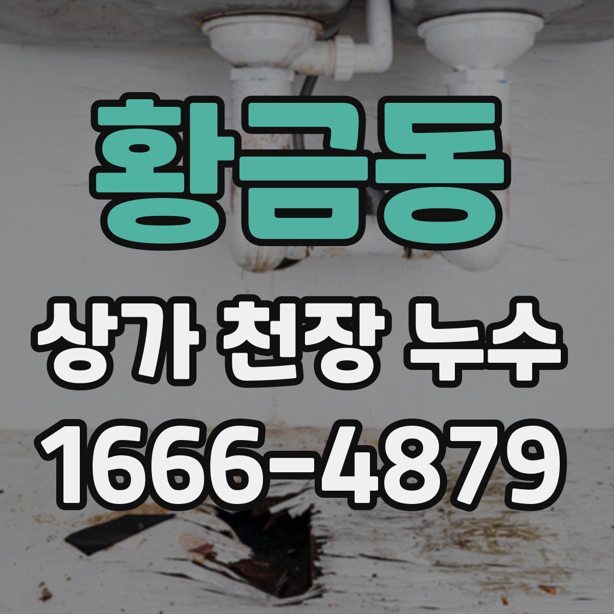 황금동 상가 천장 누수