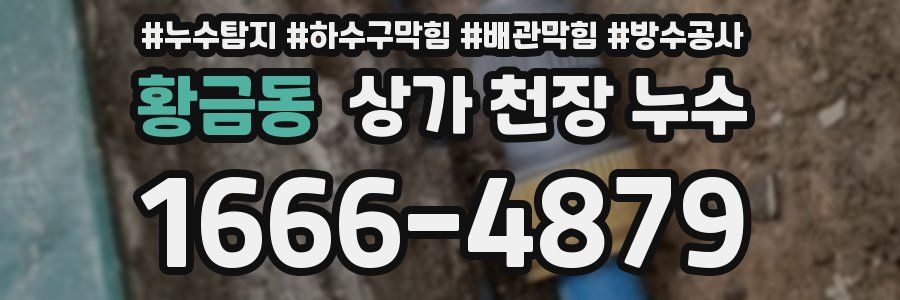 황금동 상가 천장 누수