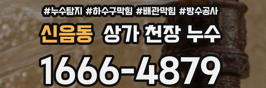 신음동 상가 천장 누수