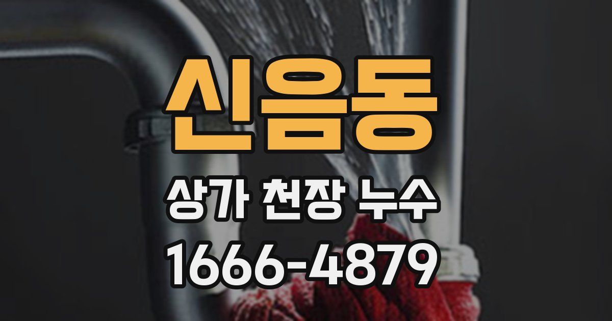 신음동 상가 천장 누수