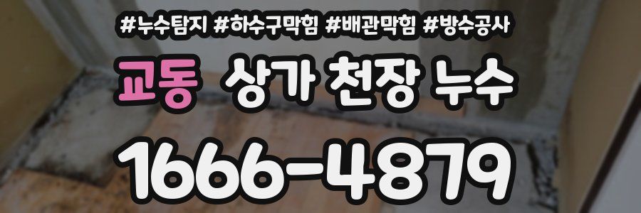 교동 상가 천장 누수