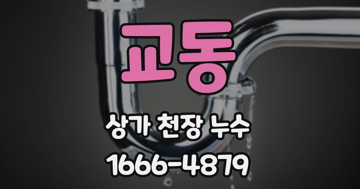 교동 상가 천장 누수