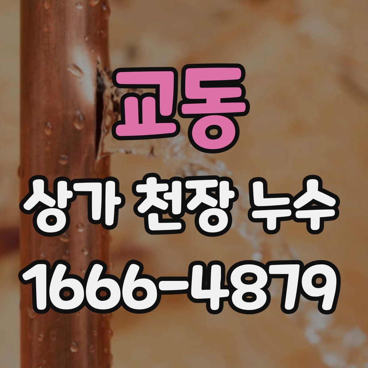 교동 상가 천장 누수