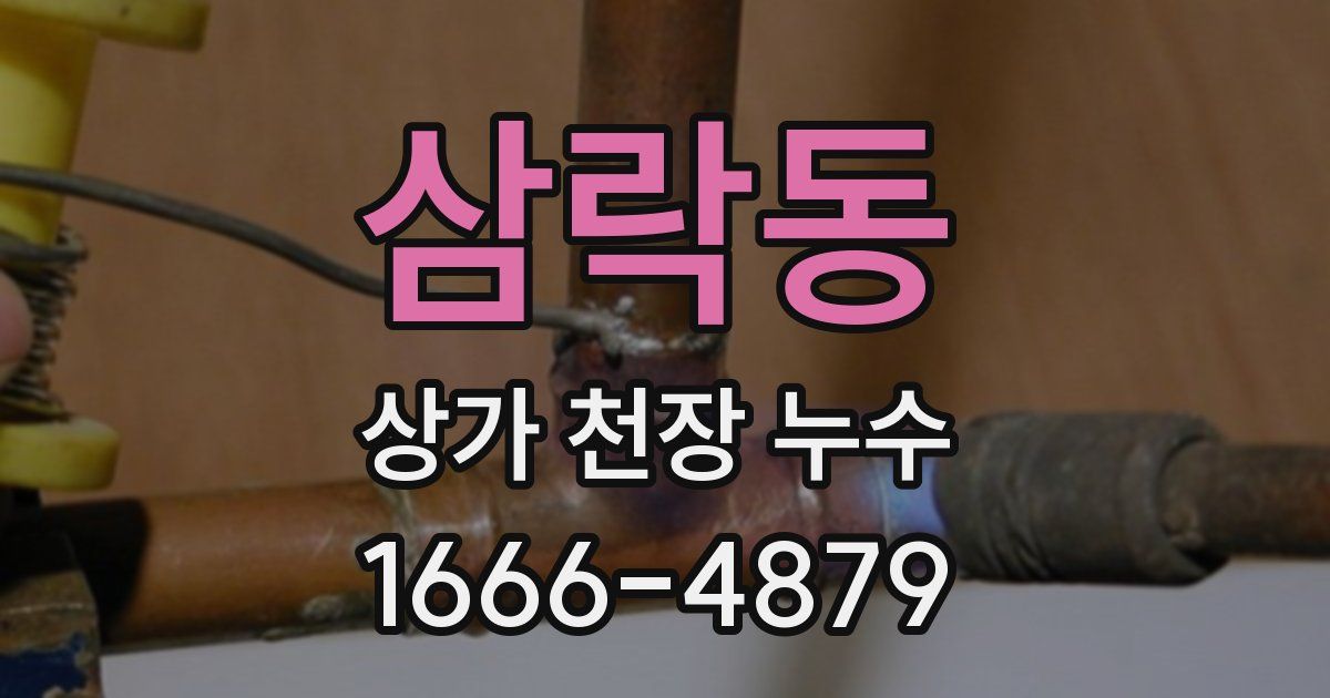 삼락동 상가 천장 누수