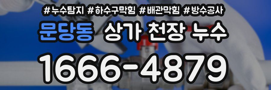 문당동 상가 천장 누수