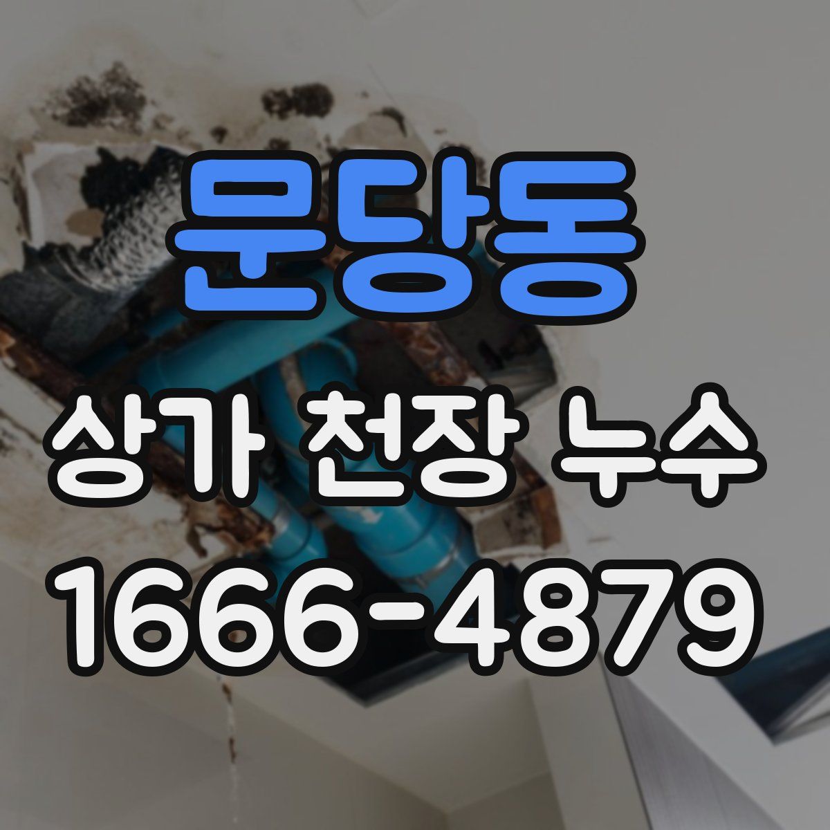 문당동 상가 천장 누수