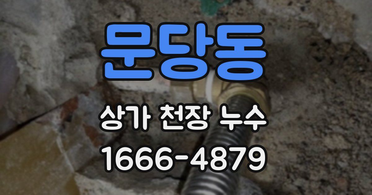 문당동 상가 천장 누수