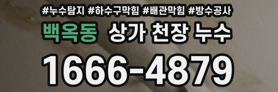 백옥동 상가 천장 누수