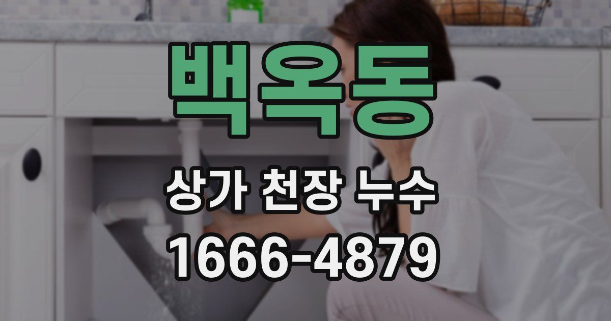 백옥동 상가 천장 누수