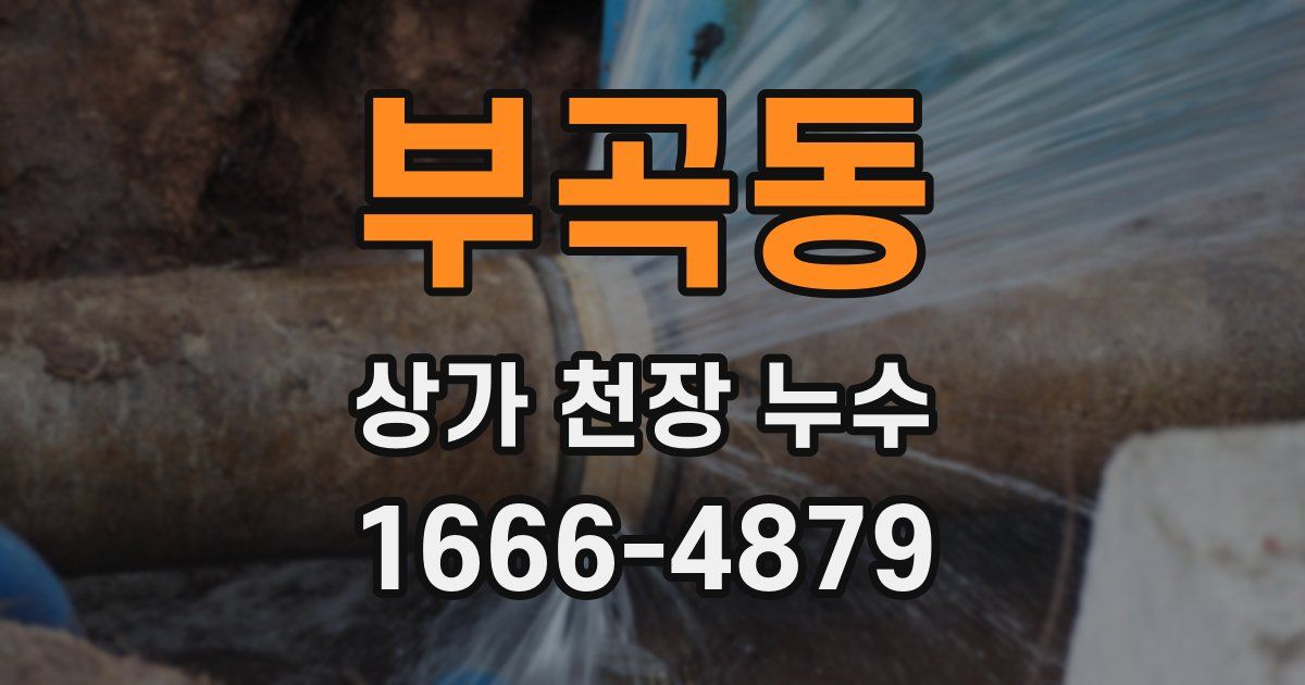 부곡동 상가 천장 누수