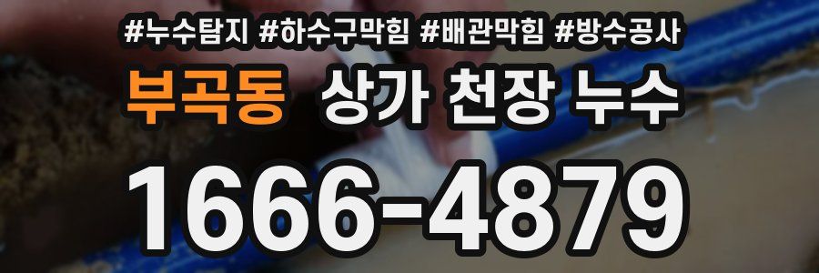 부곡동 상가 천장 누수