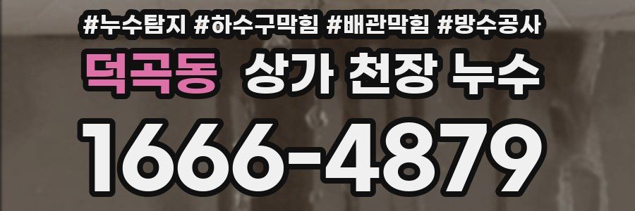 덕곡동 상가 천장 누수