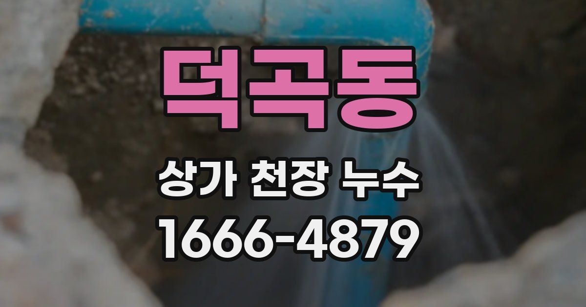 덕곡동 상가 천장 누수