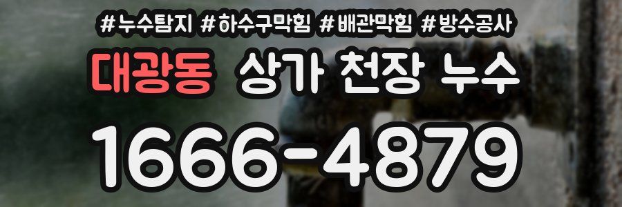 대광동 상가 천장 누수