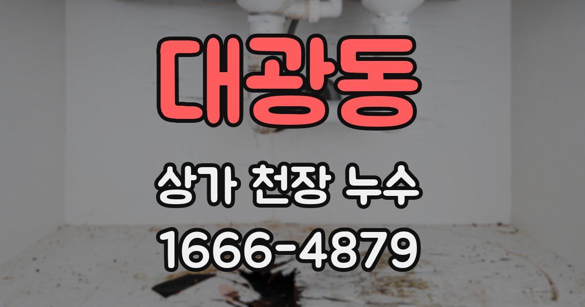대광동 상가 천장 누수