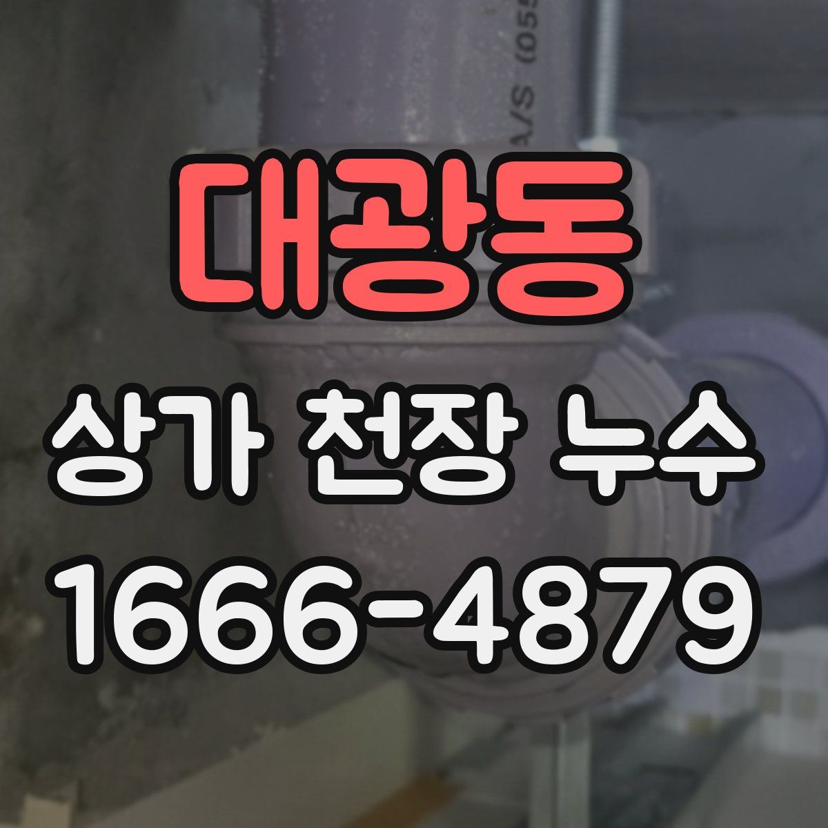 대광동 상가 천장 누수