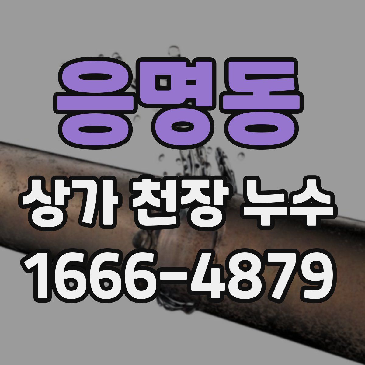 응명동 상가 천장 누수