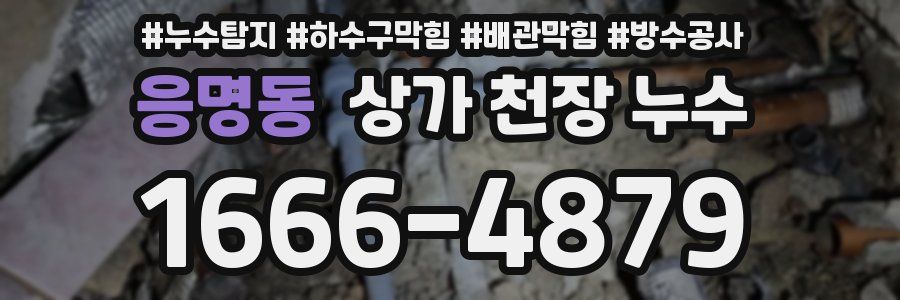 응명동 상가 천장 누수