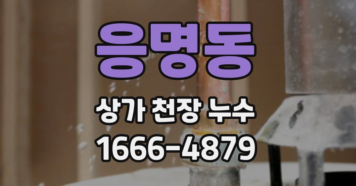 응명동 상가 천장 누수