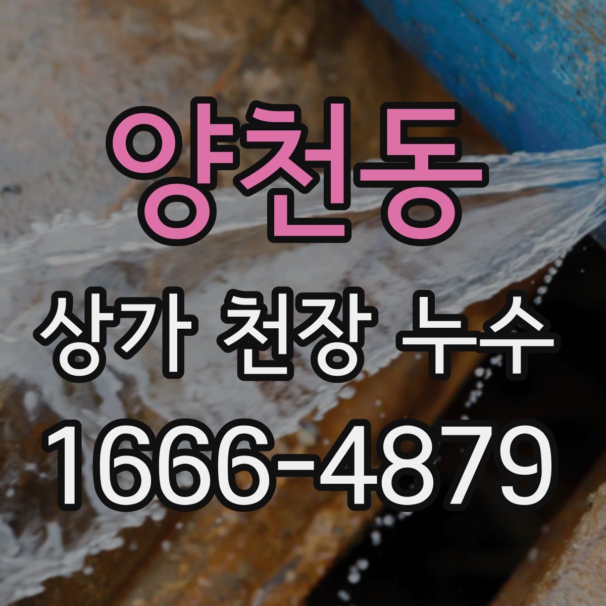 양천동 상가 천장 누수