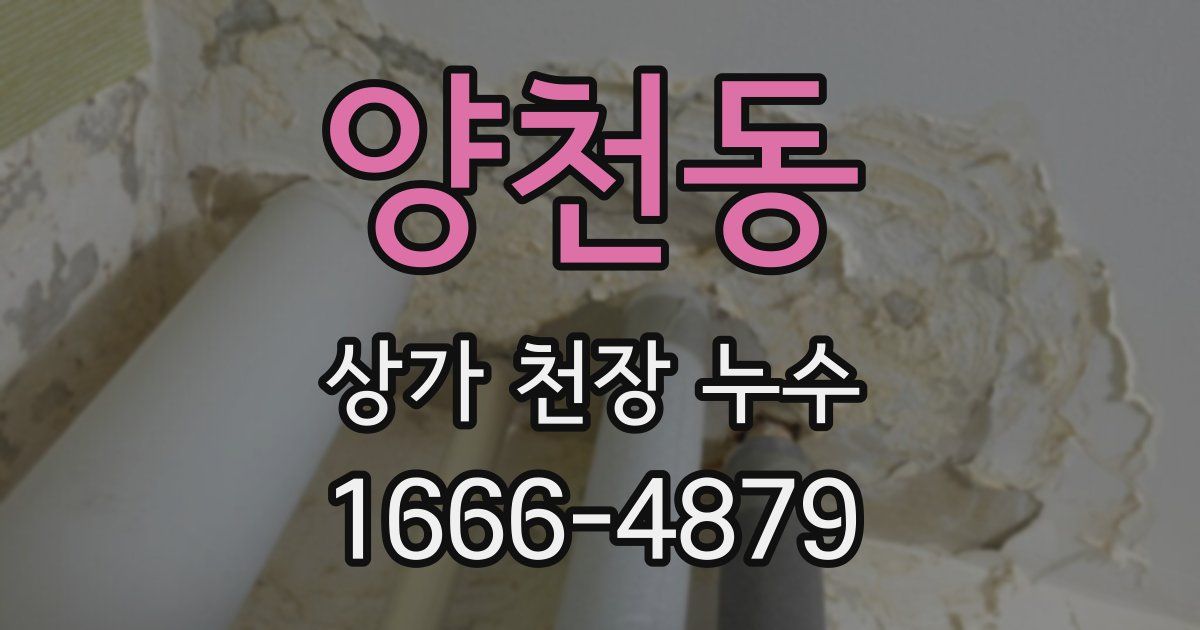 양천동 상가 천장 누수