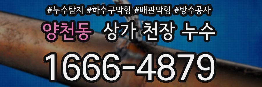양천동 상가 천장 누수