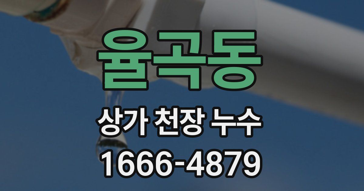율곡동 상가 천장 누수