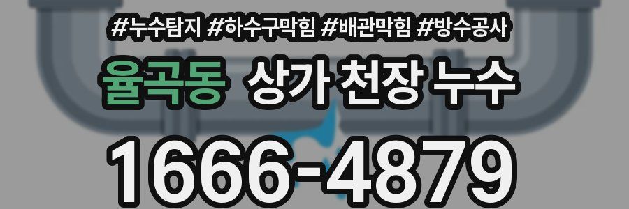 율곡동 상가 천장 누수