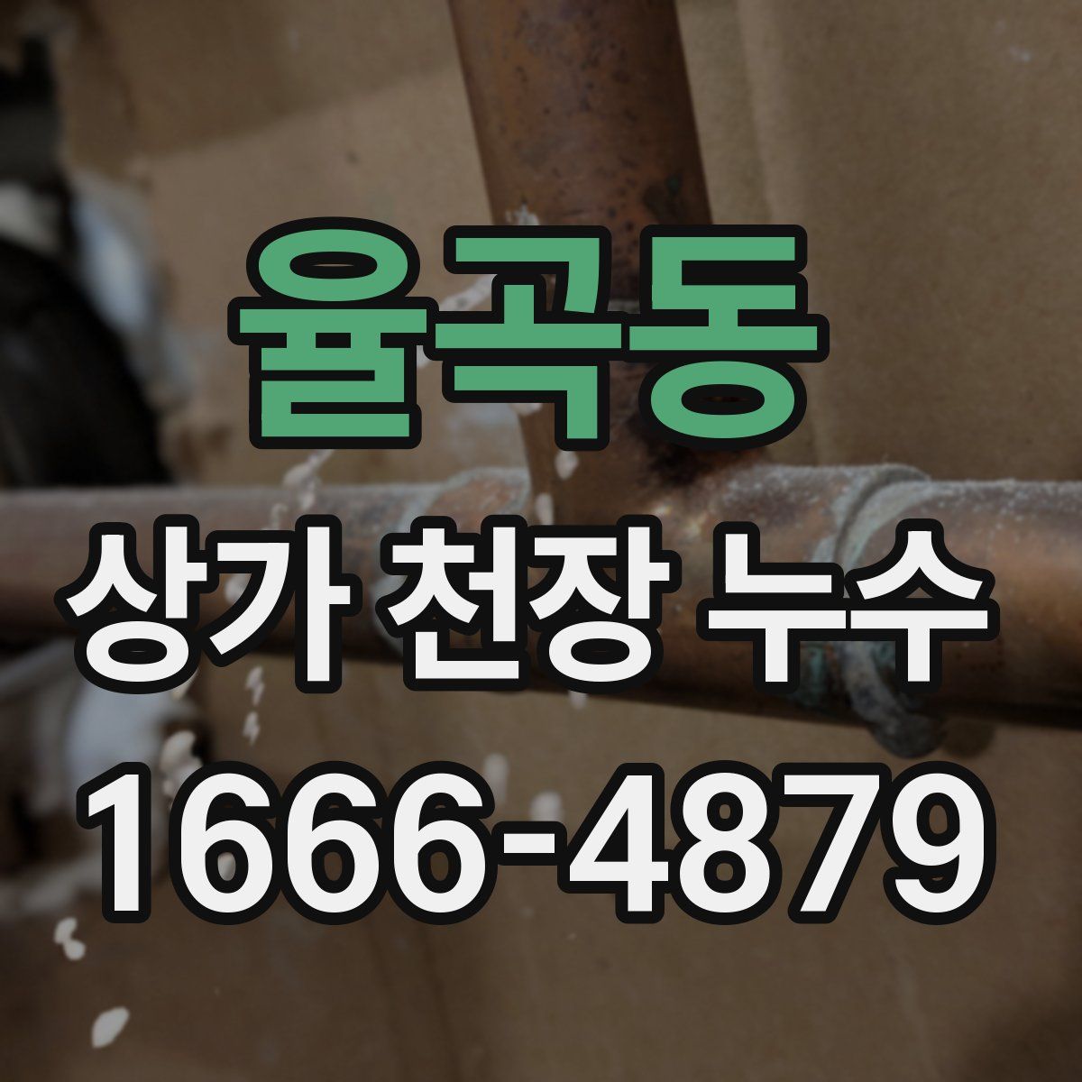 율곡동 상가 천장 누수