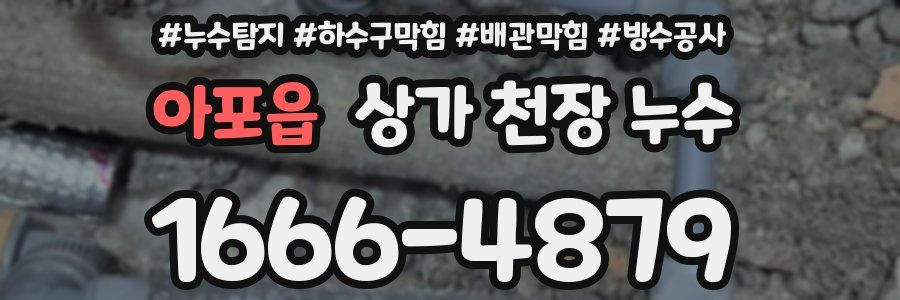 아포읍 상가 천장 누수