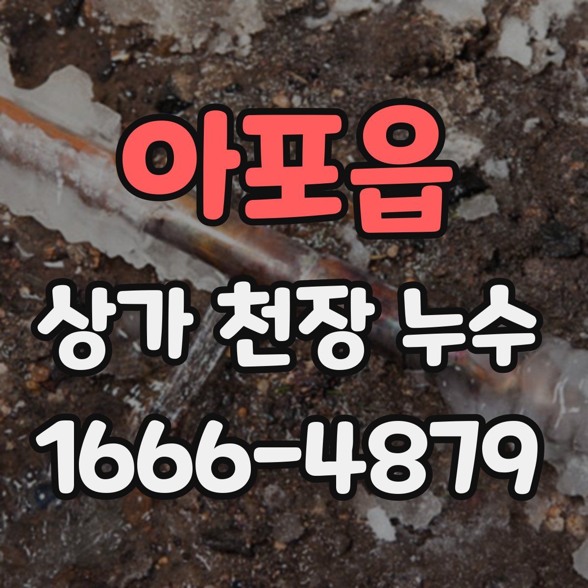 아포읍 상가 천장 누수