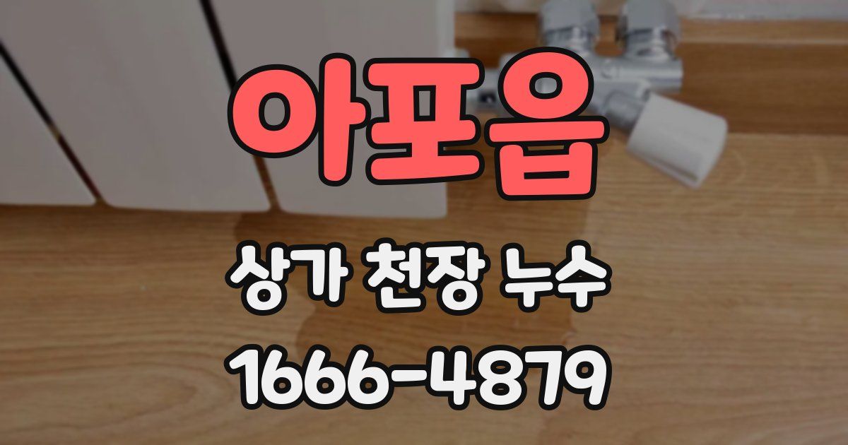 아포읍 상가 천장 누수