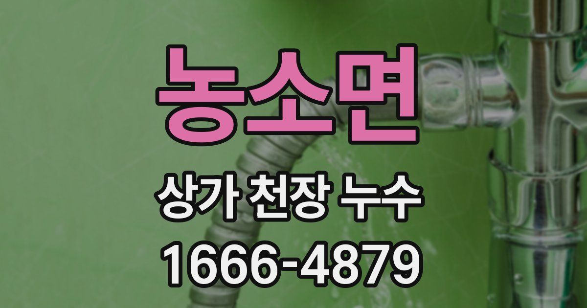 농소면 상가 천장 누수