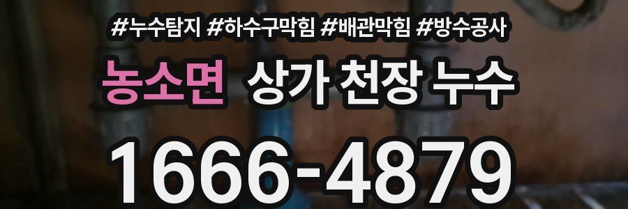 농소면 상가 천장 누수
