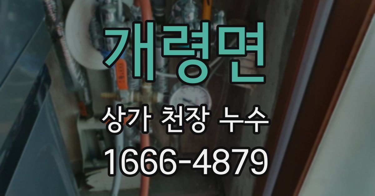 개령면 상가 천장 누수