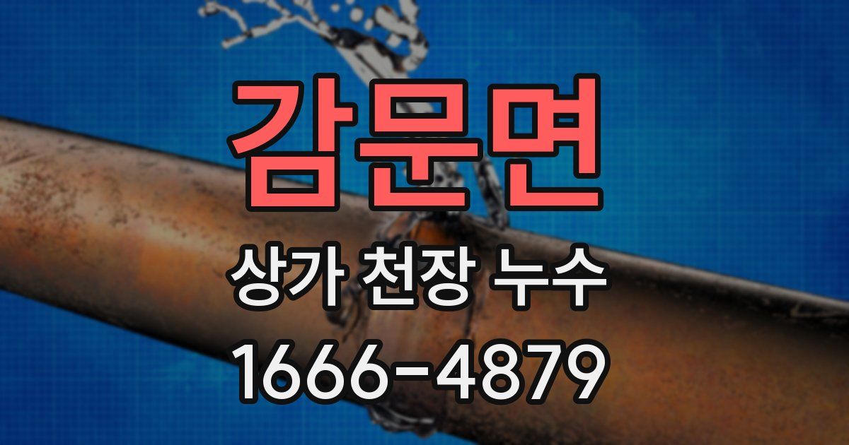 감문면 상가 천장 누수