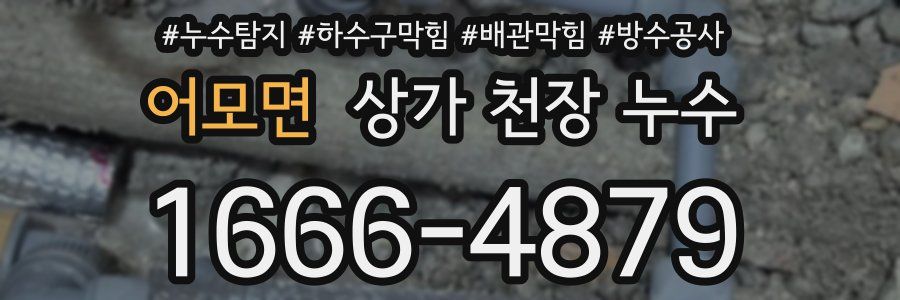 어모면 상가 천장 누수