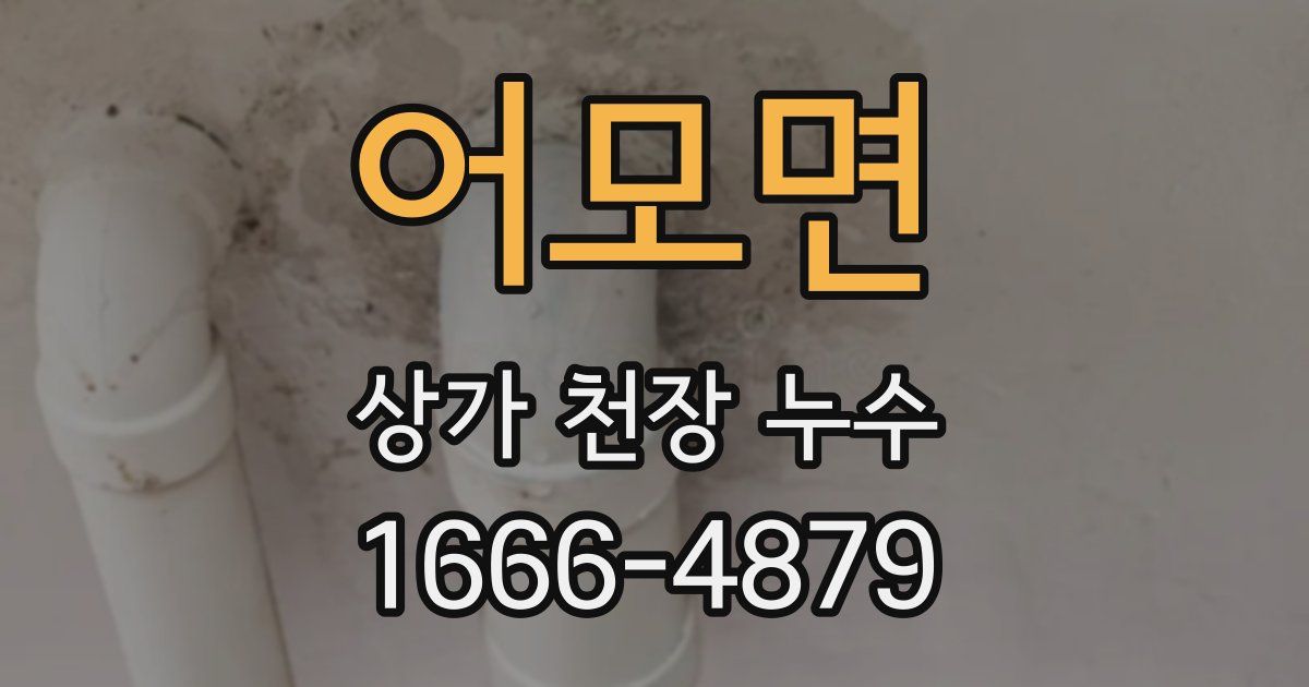 어모면 상가 천장 누수