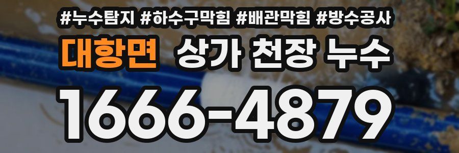 대항면 상가 천장 누수