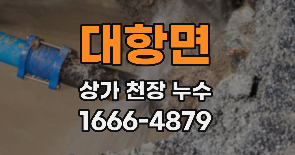 대항면 상가 천장 누수