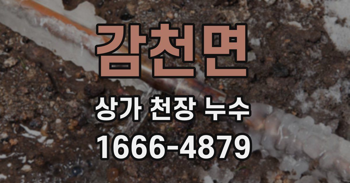 감천면 상가 천장 누수