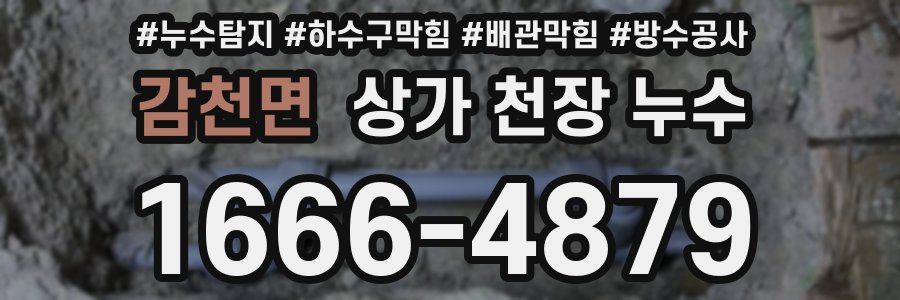 감천면 상가 천장 누수