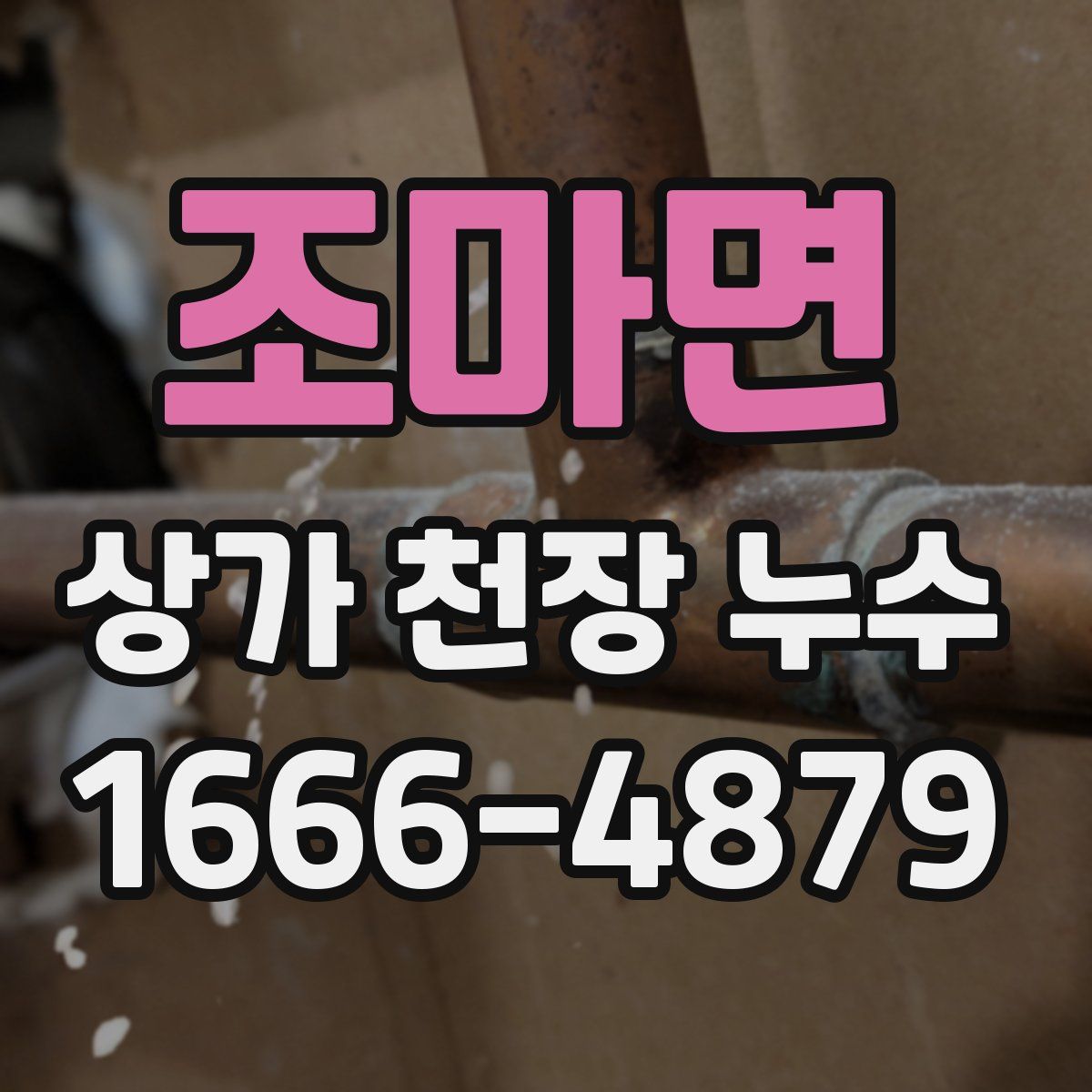조마면 상가 천장 누수