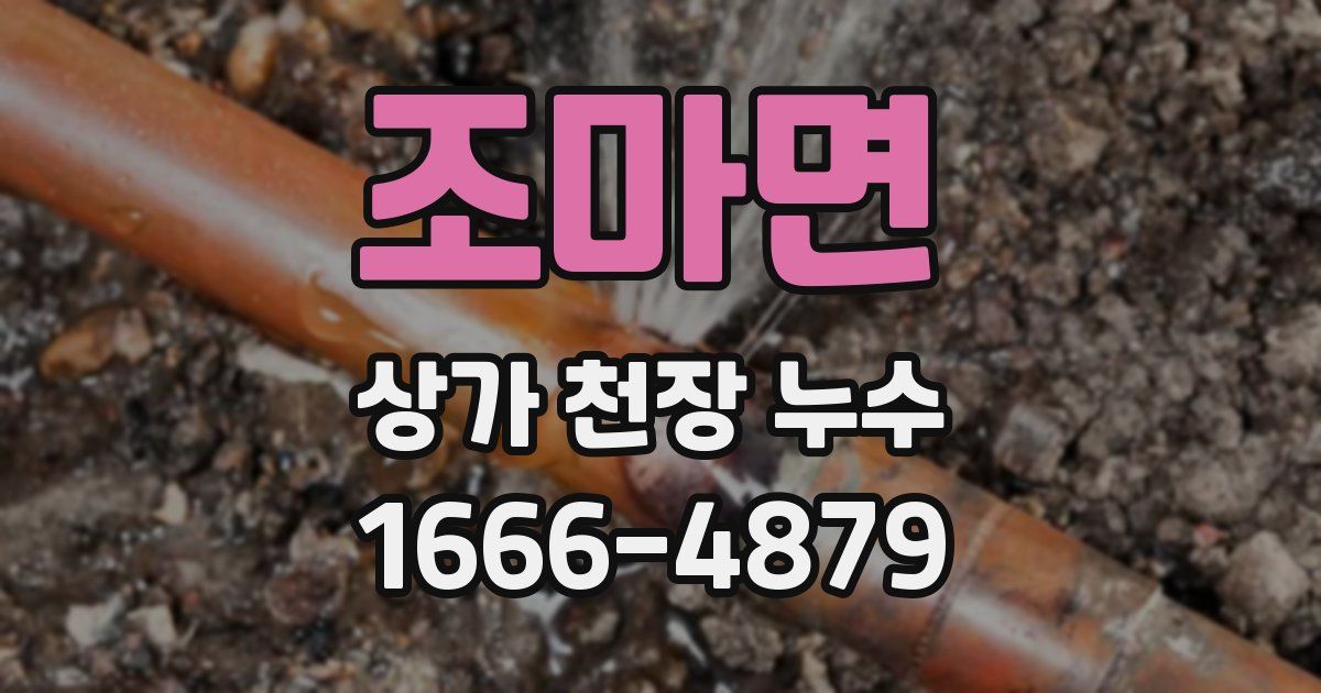조마면 상가 천장 누수