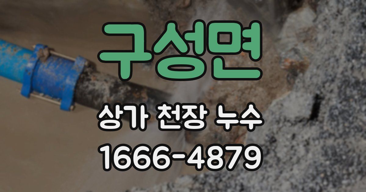구성면 상가 천장 누수