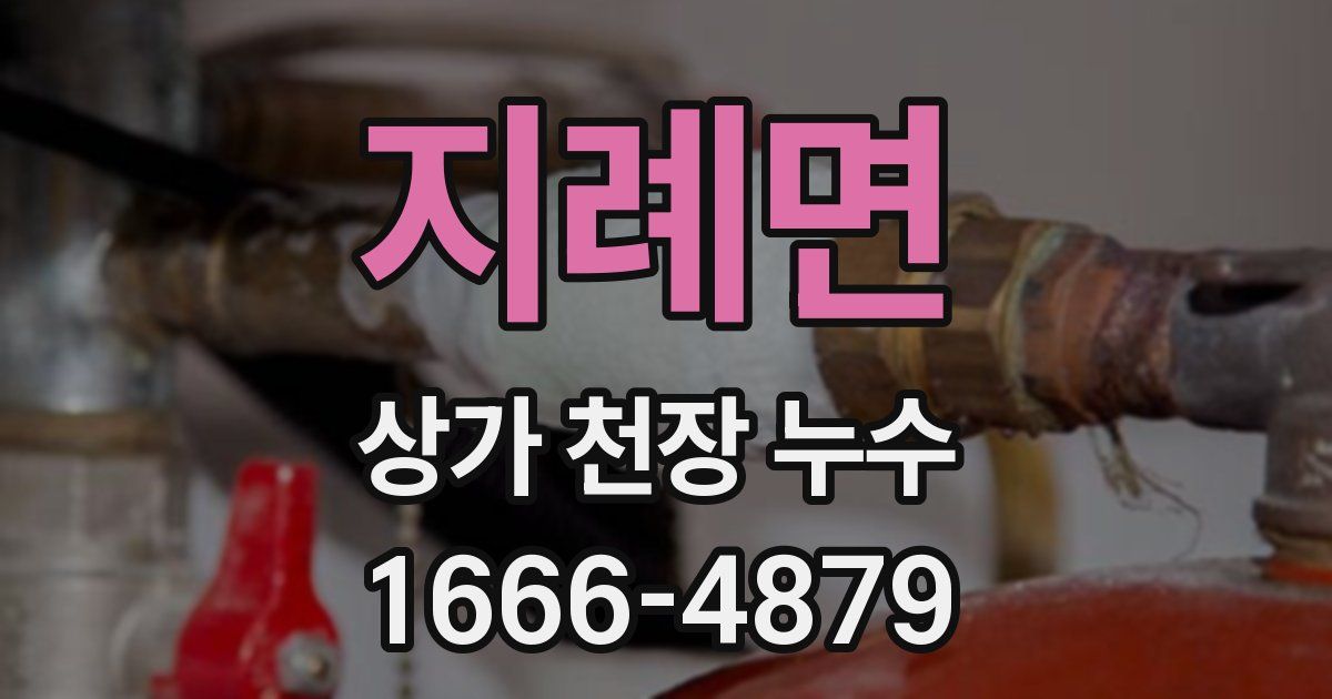 지례면 상가 천장 누수