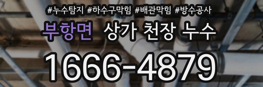 부항면 상가 천장 누수