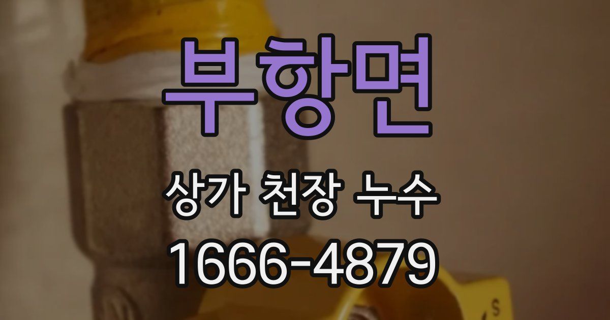 부항면 상가 천장 누수