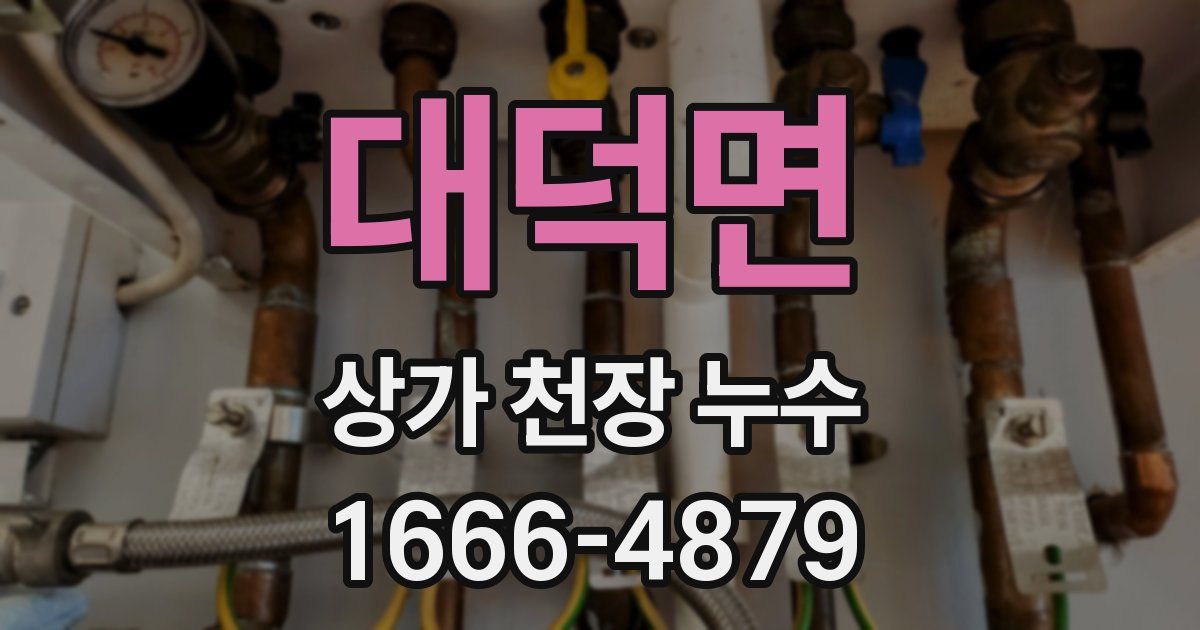 대덕면 상가 천장 누수